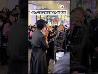 路上ライブでネコが会場沸かせてた🙌｜PECO @jiong0521