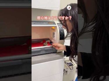 子猫ちゃんにインタビューしてみた｜PECO #shorts