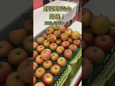 野菜即売会inボートレース三国　開催！(2025/5/24~25) 　#ボートレース三国　 #shorts