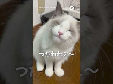 エアーもぐもぐ｜PECO