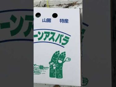 アスパラ頂きました！ありがとうございます