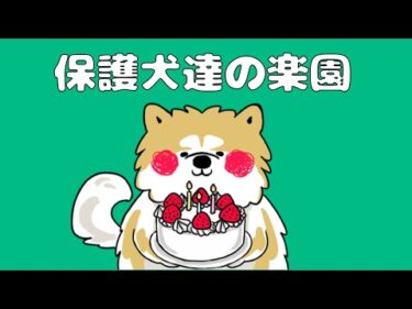 【ライブ】愛護活動を伝えた犬 秋田犬大吉　15時30分〜