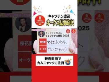 【キャプテン渡辺】正月動画でオークス馬カムニャックを推奨！ #亜咲花のクラシック報告 #horserace #shorts #オークス #亜咲花 #キャプテン渡辺
