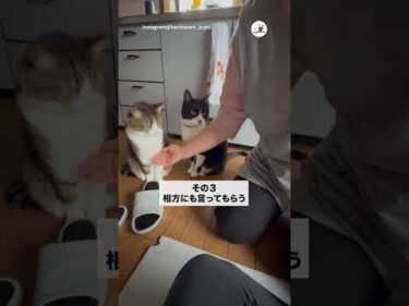 ばぁばにご飯のおかわりアピール｜PECO