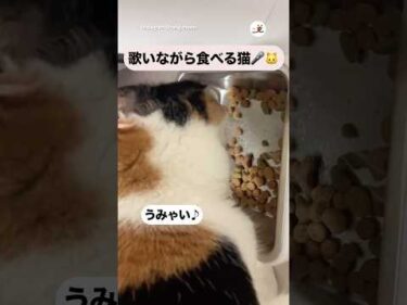 歌いながら食べる猫｜PECO