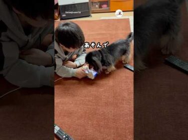 誘い方がかわいすぎてヤバい😍｜PECO