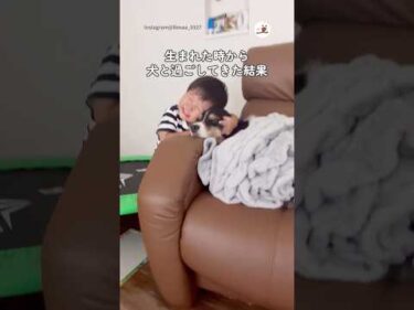 ワンコに愛を伝える弟くん｜PECO