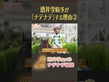 【酒井学騎手ナデナデ秘話③】ナデナデする理由(後編)  #shorts #jockey #競馬 #酒井学