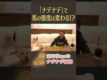 【酒井学騎手ナデナデ秘話④】「ナデナデ」で馬は変わる？ #shorts #jockey #競馬 #酒井学