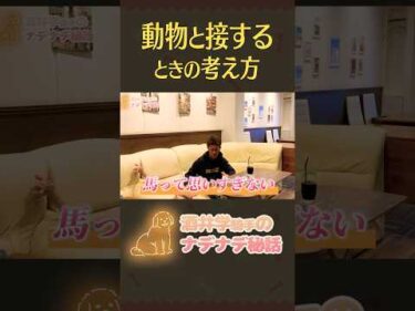 【酒井学騎手ナデナデ秘話⑤】動物と接するときの考え方 #shorts #jockey #競馬 #酒井学