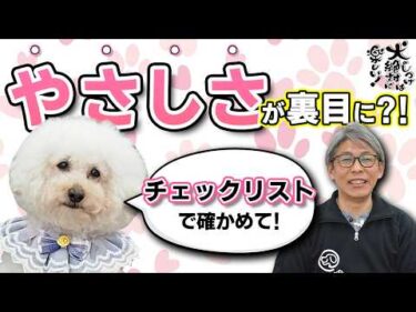 【犬のしつけ】こんな行動してない？犬とのくらし🌟甘やかし度チェックリスト