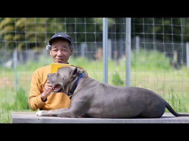 全国の保護犬達をみんなで力を合わせて助けよう！