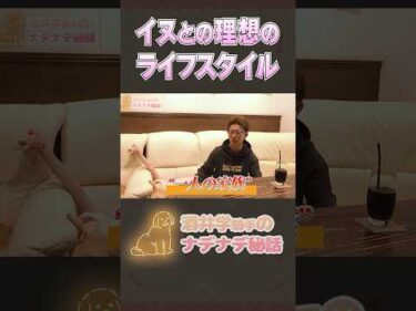 【酒井学騎手ナデナデ秘話⑥《最終回》】イヌとの理想のライフスタイルは？ #shorts #jockey #競馬 #酒井学