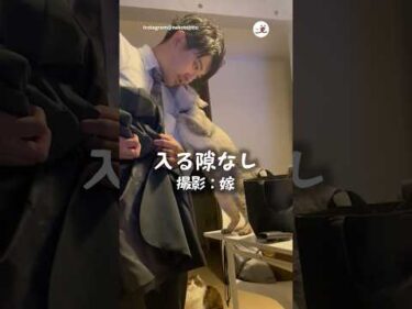 え？付き合ってる？｜PECO