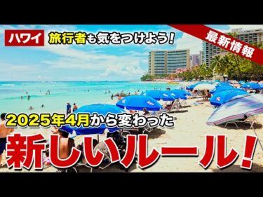 【ハワイ】2025年4月以降、旅行者も気をつけないといけない新しいルール【ハワイ最新情報】【ハワイの今】