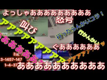 車券vlog 川崎A級S級決勝　サテライトに響き渡る怒号と叫び声