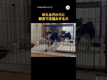 柴のステップ｜PECO