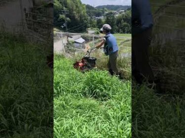 私は現場監督！