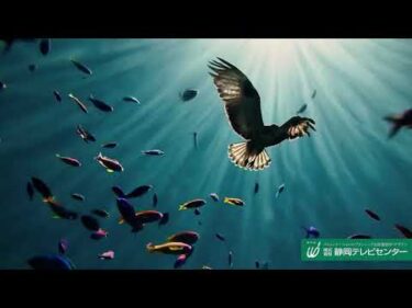 静岡テレビセンターCM2025「想像の、さらに先へ編」#AI生成 #AI生成CM