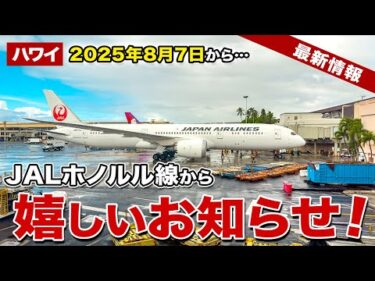 【ハワイ】JALホノルル線から夏の嬉しいお知らせ！【ハワイ最新情報】【ハワイの今】