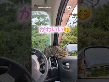 目を覚ましたらそこには…｜PECO