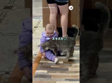 赤ちゃんの泣き声に秒で駆けつける猫様｜PECO