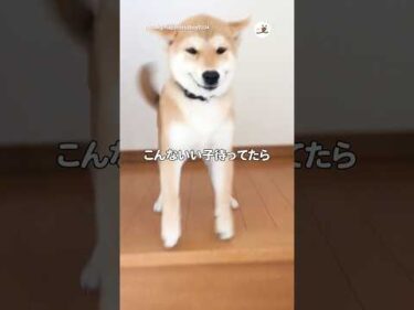 こんなワンコがいたら早く帰りたい❣️｜PECO #shorts