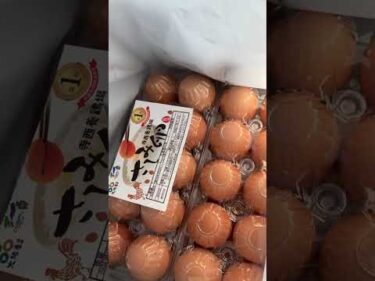 大阪No,1卵やみつきになります