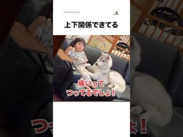 上下関係ができすぎる｜PECO