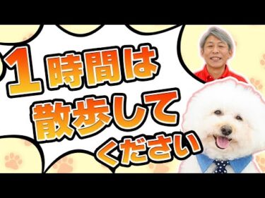 【犬の散歩】1時間は散歩してください。（と言われました）理想の散歩1時間【犬のしつけ】