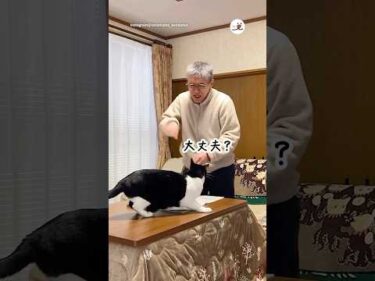 これは予測できない😅｜PECO