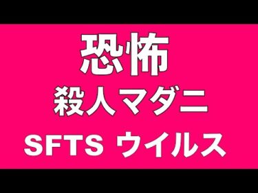 【マダニの恐怖】SFTSウイルス感染症　感染すれば死に至る危険も