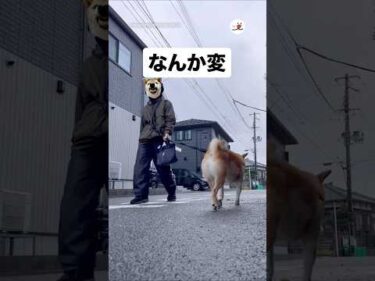え？？？｜PECO