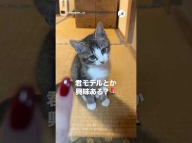 【発掘】可愛い子をスカウトしました｜PECO