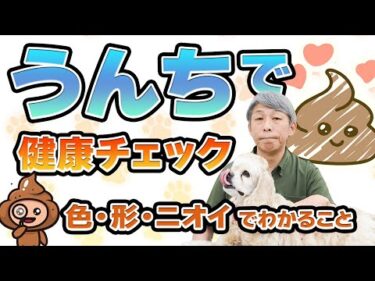 犬のうんちで健康チェック！見逃すな💩色・形・におい完全ガイド