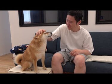 別れの時‥猫の卒業式を開くと柴犬はパパの異変に気づきました。