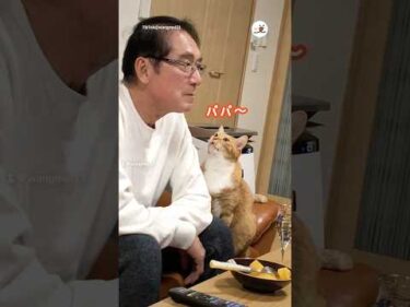 完全に恋してる目してる…😍｜PECO