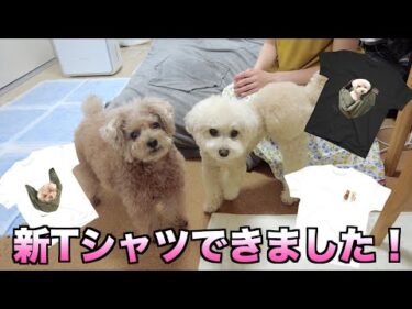 【お知らせ】新デザインのTシャツができました！