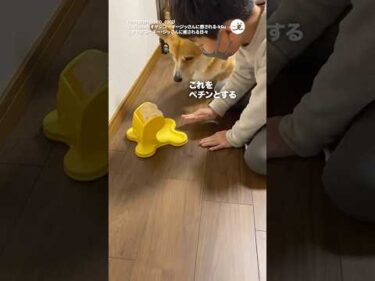 使い方を教わるコーギー｜PECO