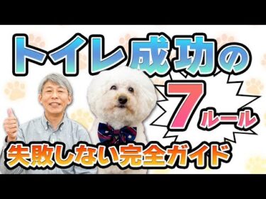 【犬のしつけ】トイレトレーニング完全ガイド