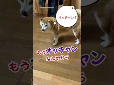 ママに「オッチャン」と言われて…｜PECO