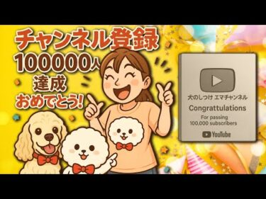 ぼくの友達のチャンネルが登録者さま10万人になった！それがすごく嬉しい理由【犬のしつけチャンネル】