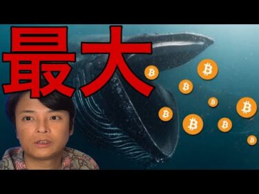ビットコイン急落でも今年最大の蓄積！6月に最高値更新か？