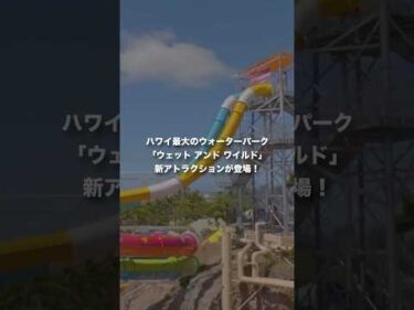 スリル満点の絶叫系スライダーが新登場！ 25以上のアトラクションが揃う #ハワイ 最大のウォーターパーク「ウェット アンド ワイルド」☀ 詳細は本編へ👆#ハワイ旅行 #ハワイ観光 #hawaii