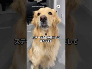 旨すぎるとこうなる｜PECO