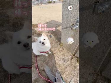 公園で見つけたキーホルダーに惚れちゃって｜PECO