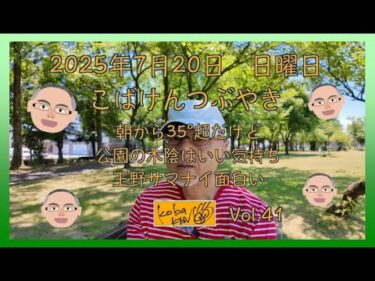 2025年7月20日　金曜日　こばけんつぶやき