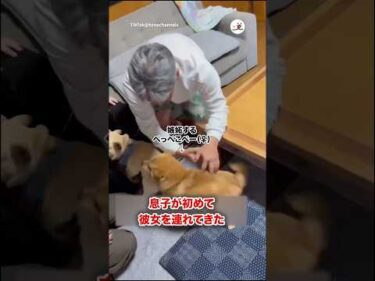 彼女に嫉妬する犬｜PECO