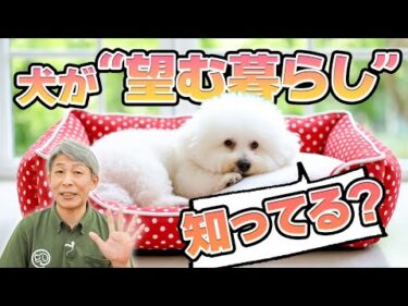 犬が本当に望む暮らしとは？5つの幸せポイント【犬のしつけ】