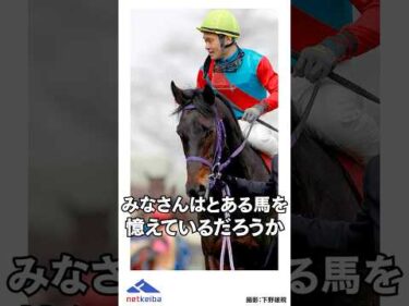 単勝167倍!? 日経賞の大激走で話題となったあの【ネコパンチ】の現在!! #shorts #ネコパンチ #競馬 #horserace #引退馬